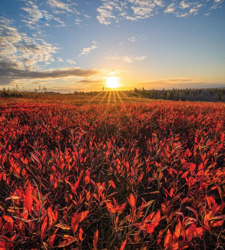Photo of Fall landscape