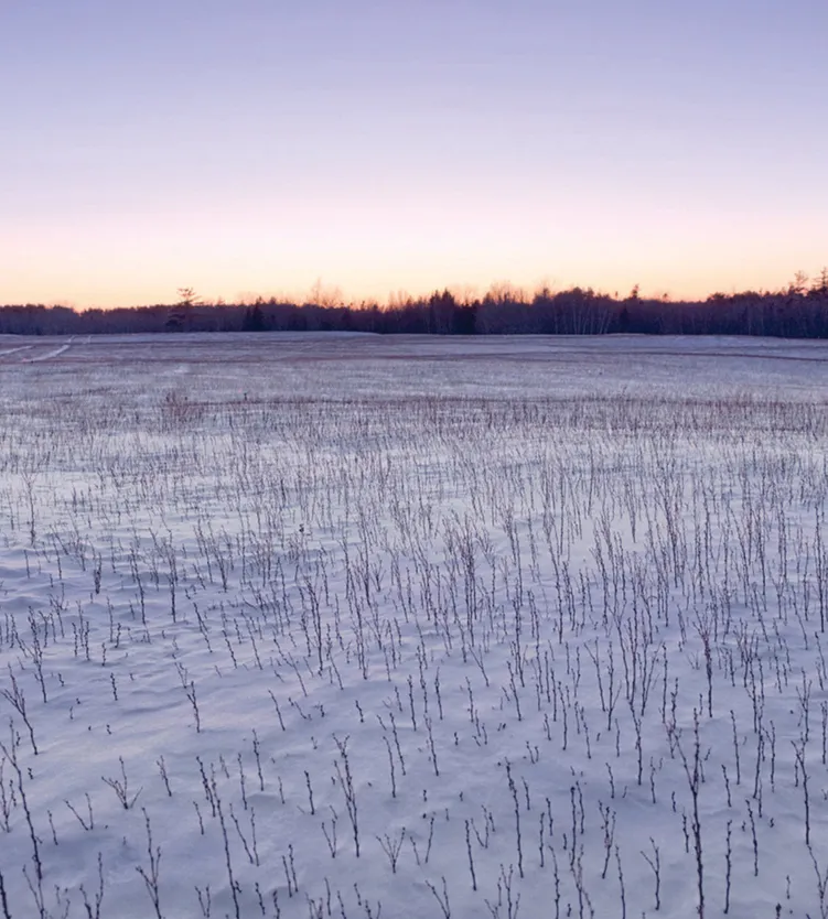 Photo of Winter landscape