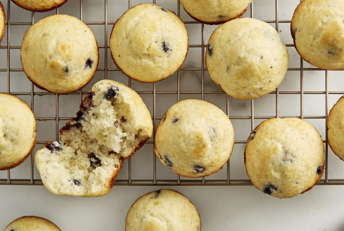 Blueberry muffins in muffin tin
